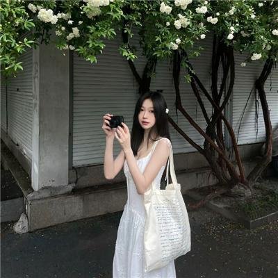 树木之城
